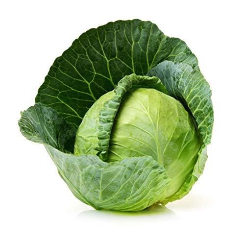 Iya Foods Cabbage Powder 1 lb. Whole Food Vegetable. Made 100% from Green Cabbage. Non-GMO, Gluten-Free, Grain-Free, Low Calories. Each 1 lb. Pack of Cabbage Powder Contains 91 Servings of 5g/Serving - Thumbnail 5