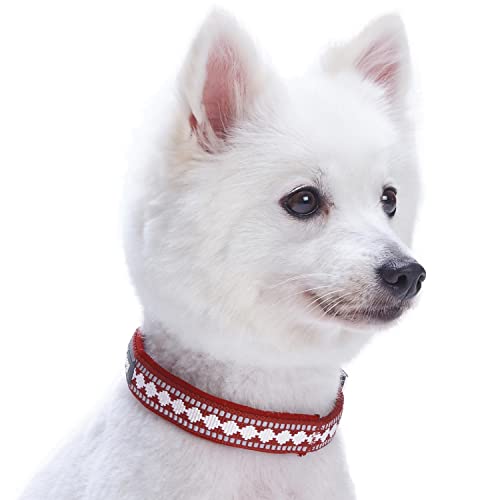 Collier chien 2cm Blueberry Pet M rouge marsala jacquard réfléchissant pour animal de taille moyenne
