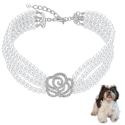 FINGERINSPIRE Collana con Collare per Animali Domestici di Perle Collare Regolabile per Cani e Gatti con Strass per Cani di Piccola Taglia e Gatti, Bianco, L