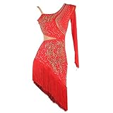ZHQNZJF Latin Dance Dresses for Women Tassel Cha Cha Modern Dance Competition Costume Hollow Tango Dancewear,E,S