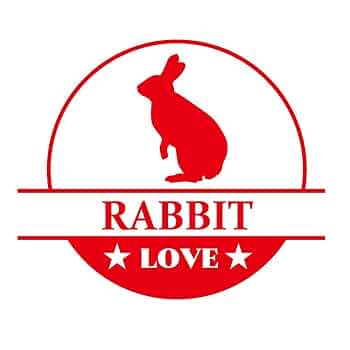 Amazon.co.jp: 干支 兎 うさぎ 卯 年 ステッカー シール 丸形