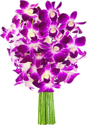 Image of KaBloom-10 Purple orchid Bouquet,Flowers for Valentine, Mother's Day
