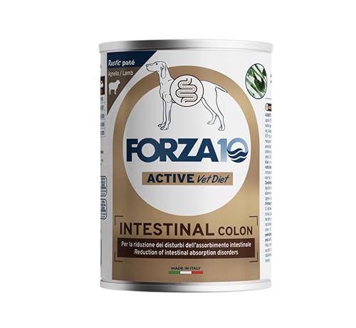 Forza 10 umido Intestinal Colon, Paté Rustico con Agnello, Alimento Completo per Cani, 6 Scatolette da 390 g