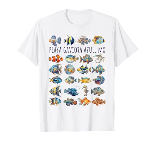 Playa Gaviota Azul ���L�V�R �J���t���t�B�b�V���f�U�C�� T�V���c