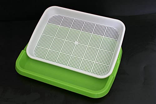 (Combo) Grewery Farm Microgreen Trays Made of Virgin PP Material (On The Grow Farm Videos) with Perforated Top White Tray and Solid Green Color Bottom Tray (2) (B09D44FCX1) Amazon Price History, Amazon Price Tracker