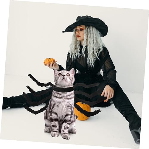 Disfraz de Araña para Perros Toddmomy Halloween miniatura 3