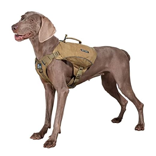 OneTigris CAMELUS robuster Hunderucksack