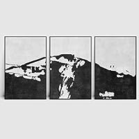 3 Piece Framed Canvas Wall Art Black and White Fish Canvas Prints Home Artwork Decoration for Living Room,Bedroom - 16