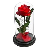 Childom Beauty and The Beast Rose, Roses Enchanted Red Silk Rose with Fallen Petals Led Fairy String Lights in A Dome, Gifts for Anniversary, Wedding (Black Base)