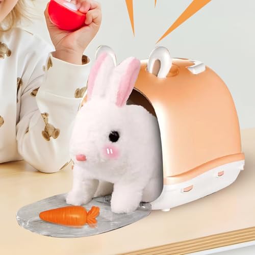 Jouet pour chien de promenade en peluche interactive et multifonctionnelle