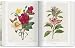 Imagen de Redouté. El libro de las flores