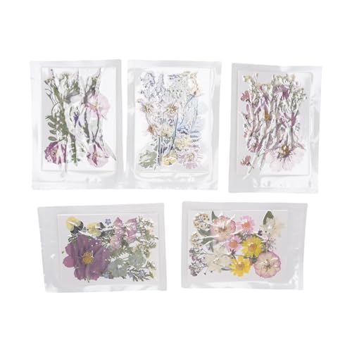 Flores secas prensadas para manualidades, 100 piezas
