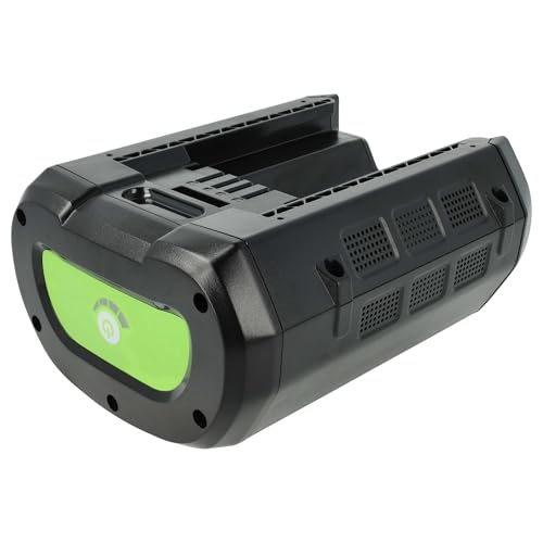 vhbw Batterie Remplacement pour Ego BA1400T, BA2800, BA2800T, BA4200, BA4200T, BA6720T, BT2240T pour Tondeuse Outil de Jardinage 4000mAh, 56V, Li-ION