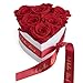Produktbild ROSEMARIE SCHULZ Heidelberg Geschenke für Sie Valentinstag Infinity Herz Rosenbox 6 rote Rosen konserviert - Ich Liebe Dich Geschenk für Frauen (Rot, Medium)