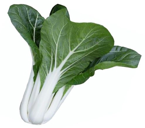 4000ct+ Bok Choy Seeds for Sprouting Chinese Cabbage Seed for Planting Microgreen/Sprouting Seeds for Home Vegetable Garden.. Pak Choi White Stem 10g. Sow in Fall/Spring