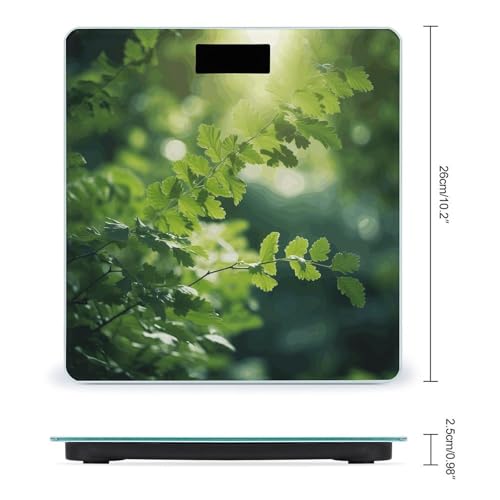Báscula digital de baño con fondo verde miniatura 2