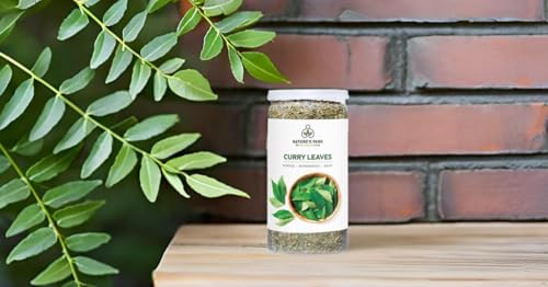 Image of Nature's Park Herb - Curry Leaves Dry Kadi Patta in Pet Jar (40gm)