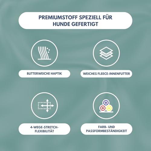 Spark Paws Hunde-Kapuzenpullover – Premium-Qualität, butterweich, hervorragender Komfort und Passform, beruhigende Fleece-Innenseite, geeignet für alle Rassen - Teal - 2XL