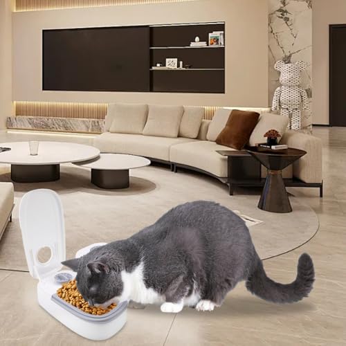 Tyafzzn Automatischer Futterspender für Katze, Futterautomat mit 48 Stunden-Timer für Trockenfutter oder Halbfeuchtes Futter, Automatic Feeder für Katzen und Kleine Hunde