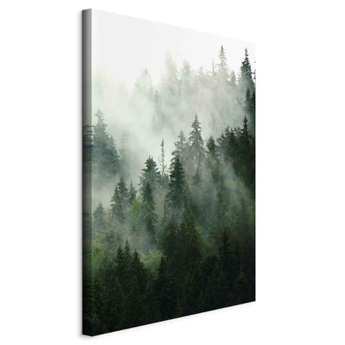 murando - Wandbilder Wald Nebel 40x60 cm Vlies Leinwandbild 1 tlg...
