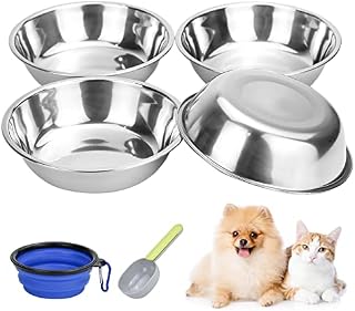 4 Pcs Shallow Cat Bowl, Stainless Steel Cat Bowl 12 Oz Cat Dishes and Bowls Easy to Clean Cat Watering Bowl with Extra Collapsible Dog Bowl for Puppy Kitten Small Animals (4pcs)