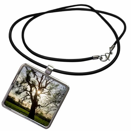3dRose California, Fremont Weir Wildlife Area. dead tree full of mistletoe Necklace With Rectangle Pendant