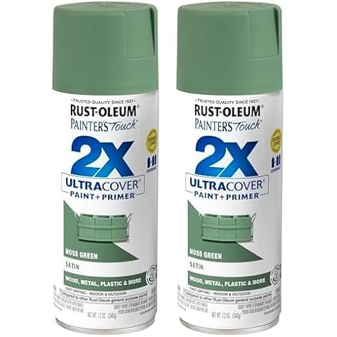 Rust-Oleum Painter's Touch 2X Spray Paint Cover