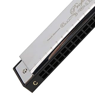 Kcivsou C Key Harmonica 24-Hole Polyphonic, C Key Harmonica 24-Hole Polyphonic Étudiant Adulte Débutant Jouant Orgue à… - Les Beatles, Paul McCartney, John Lennon, RIngo Starr, George Harrison Kcivsou C Key Harmonica 24-Hole Polyphonic, C Key Harmonica 24-Hole Polyphonic Étudiant Adulte Débutant Jouant Orgue à… – Image 4