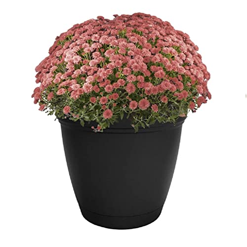 The HC Companies Eclipse Round Planter with Saucer - Outdoor & Indoor Plant Pot with Drainage Holes - Lightweight, UV-Resistant Plastic Pots for Plants, Flowers & Herbs (20" Black, Pack of 1) by The HC Companies - Image 8