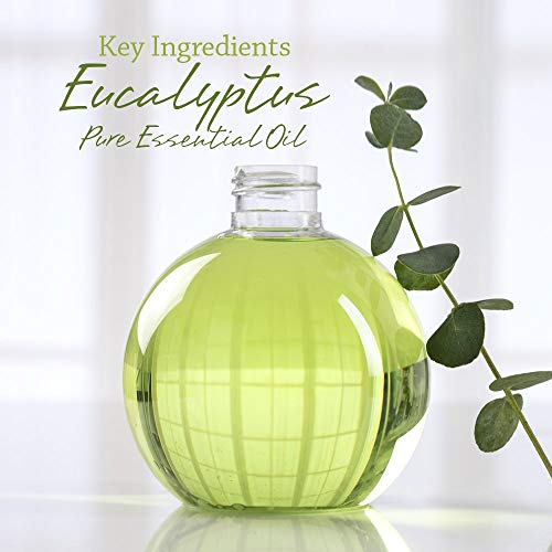I & Candle Aromatherapy Soy Wax Scented Candles (Eucalyptus) #TOP2
