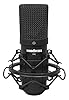 WOODBRASS XM1 Voice and Instrument Microphone - XLR Cardioid Condenser Microphone for Broadcast and Recording Streaming, Podcasting, Conference, Home Studio Mao, Voice-over #1