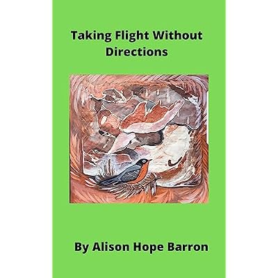 Taking Flight Without Directions
