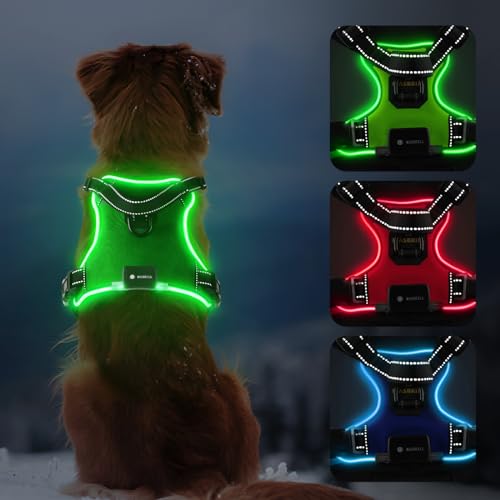 MASBRILL Light Up Dog Harness - LED No Pull Rechargeable Illuminated and Reflective Vest for Night Walking, Adjustable Dog Harness