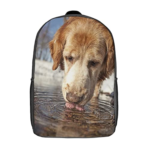 Cartable chien anti-mal de dos 17 pouces avec bretelles rembourrées
