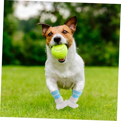 Chaussures pluie pour chien antidérapantes et imperméables