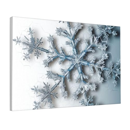 Toile flocon de neige transparent JHLMN 30x45 cm pour déco murale de salon