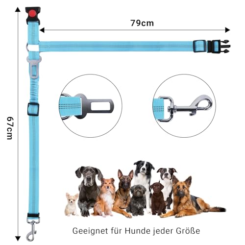 Lollanda Sicherheitsgurt Hund Auto, Hundegurt fürs Auto Sitze mit Reflektierenden Streifen und Pufferseilen, Verstellbarer Hundegurt für Große Mittlere und Kleine Hunde (Hellblau)