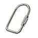 10 Pieces Locking Carabiner Locking Clips Screw Lock Buckle for Bags Outdoor