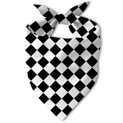 �u���b�N�`�F�b�N�����p�o���_�i�A���^��^���p�̃N���V�b�N�`�F�b�N�`�F�b�N���X�J�[�t�A�q���^�[�^�������A1��