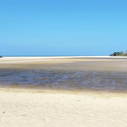 『Beach nourishment works to kick off at Lake Cathie foreshore』のカバーアート