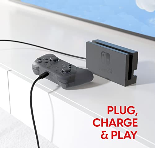 Talk Works Usb C 2-Pack Charger Cables For Nintendo Switch / Lite + Switch Oled & Pro Controller - 10Ft Long Nylon Durable Braided Usb Type C Charging Cable For Controllers - Black #TOP4