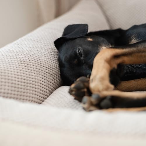 4L Textil Teo Kuscheliges Hundebett Hundekorb mittelgroße Hunde Hundekissen flauschig Hundekörbchen Hundesofa(60x40 cm, Beige)