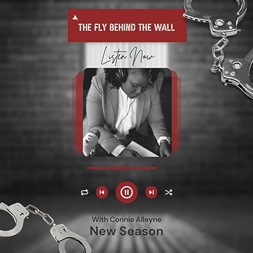 The Fly Behind The Wall Titelbild