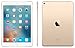 Apple iPad Pro Tablet (256GB, Wi-Fi, 9.7in) Gold (Renewed)