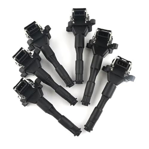 Bobines d'allumage voiture 12131748018 pour moteur E46 E39 X5 E36