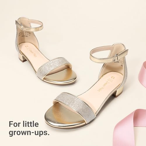 Image of DREAM PAIRS Girls Sandals Low Heel Dress Pump Ankle Strap Flower Wedding Party Shoes for Little Kid /Big Kid