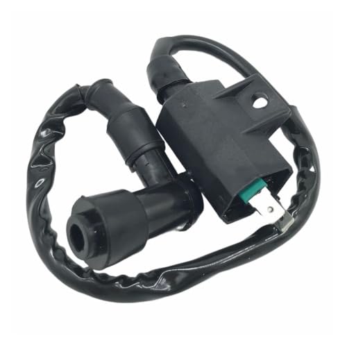 Bobina de encendido de moto 125cc para repuesto de KLX110 y BN125