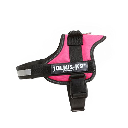 How to put a julius k9 harness on a dog