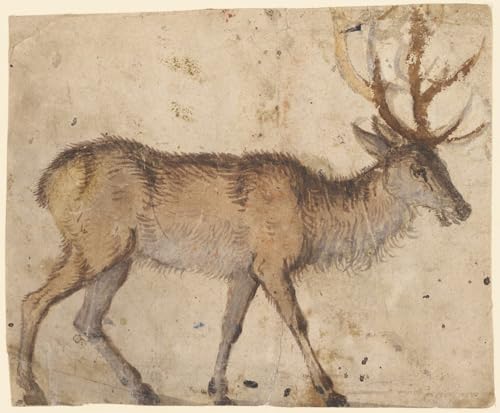 Tableau étude d'un cerf Lucas Cranach l'Ancien - Impression sur toile 60x90cm
