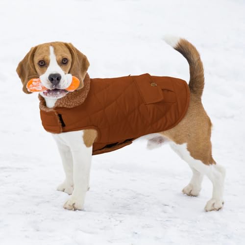 CITÉTOILE Wintermantel Hundemantel, Warme Winterjacken mit Fleece für Hunde,Hundejacke Hundekleidung Hundepullover Dog Coat mit Geschirr Loch für Chihuahua Dackel, Braun, M
